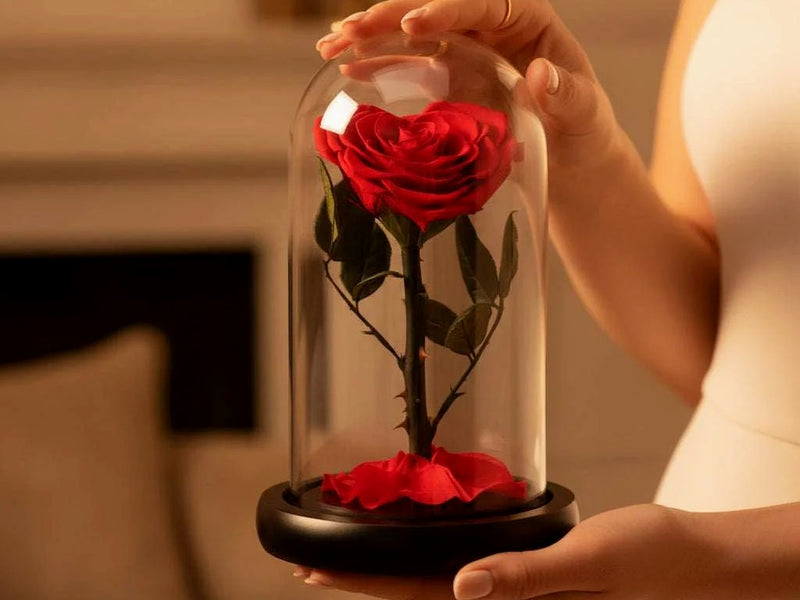 Rose éternelle en cœur sous dôme dans une lumière tamisée — cadeau pour un couple | Les Roses De Lola