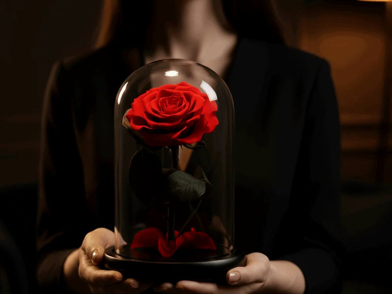 Femme tenant une rose éternelle rouge sous dôme — cadeau d'anniversaire pour femme | Les Roses De Lola