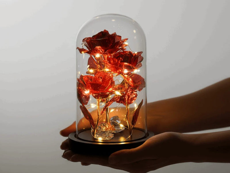 Dôme de roses dorées illuminé tenu entre les mains — cadeau de Noël | Les Roses De Lola