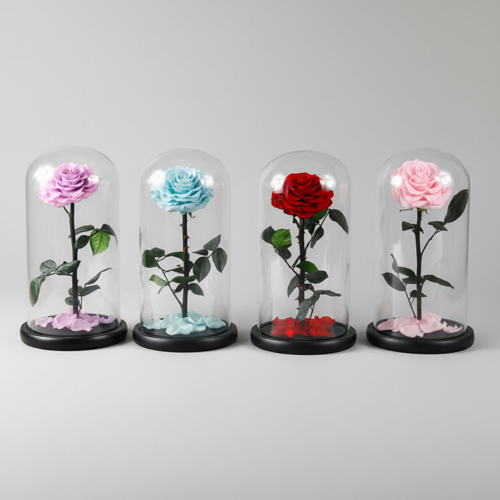 Grand Dôme Impérial – Rose Éternelle XL sous dôme en verre