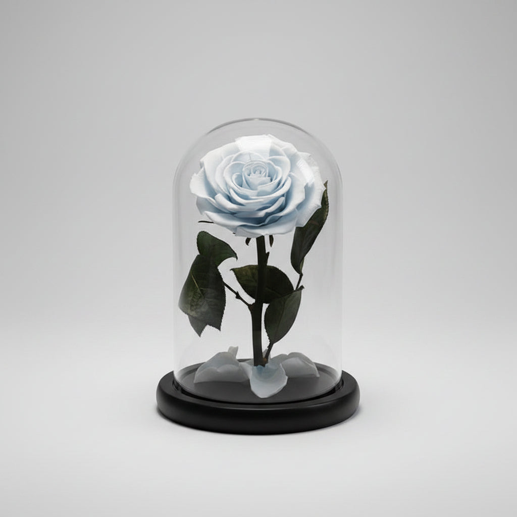 Rose éternelle bleu clair sous cloche en verre style Le Petit Prince .
