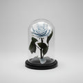 Rose éternelle bleu clair sous cloche en verre style Le Petit Prince .