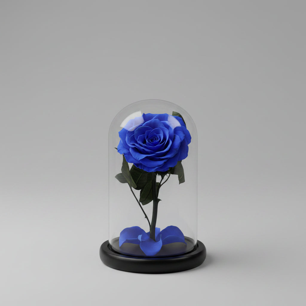 rose éternelle bleu sous cloche en verre style Le Petit Prince.