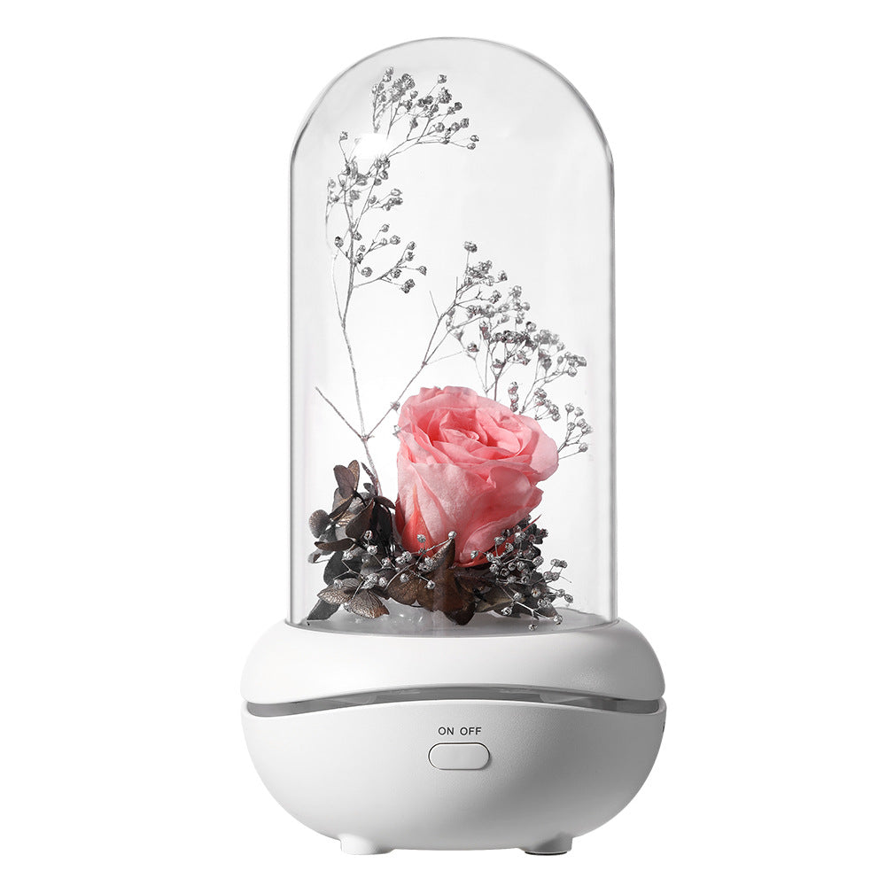 Lampe fleur éternelle humidificateur d'ambiance – coloris Rose | Les Roses De Lola