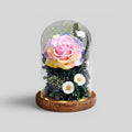 Rose éternelle Gargantua sous cloche en verre – coloris Multicolore | Les Roses De Lola