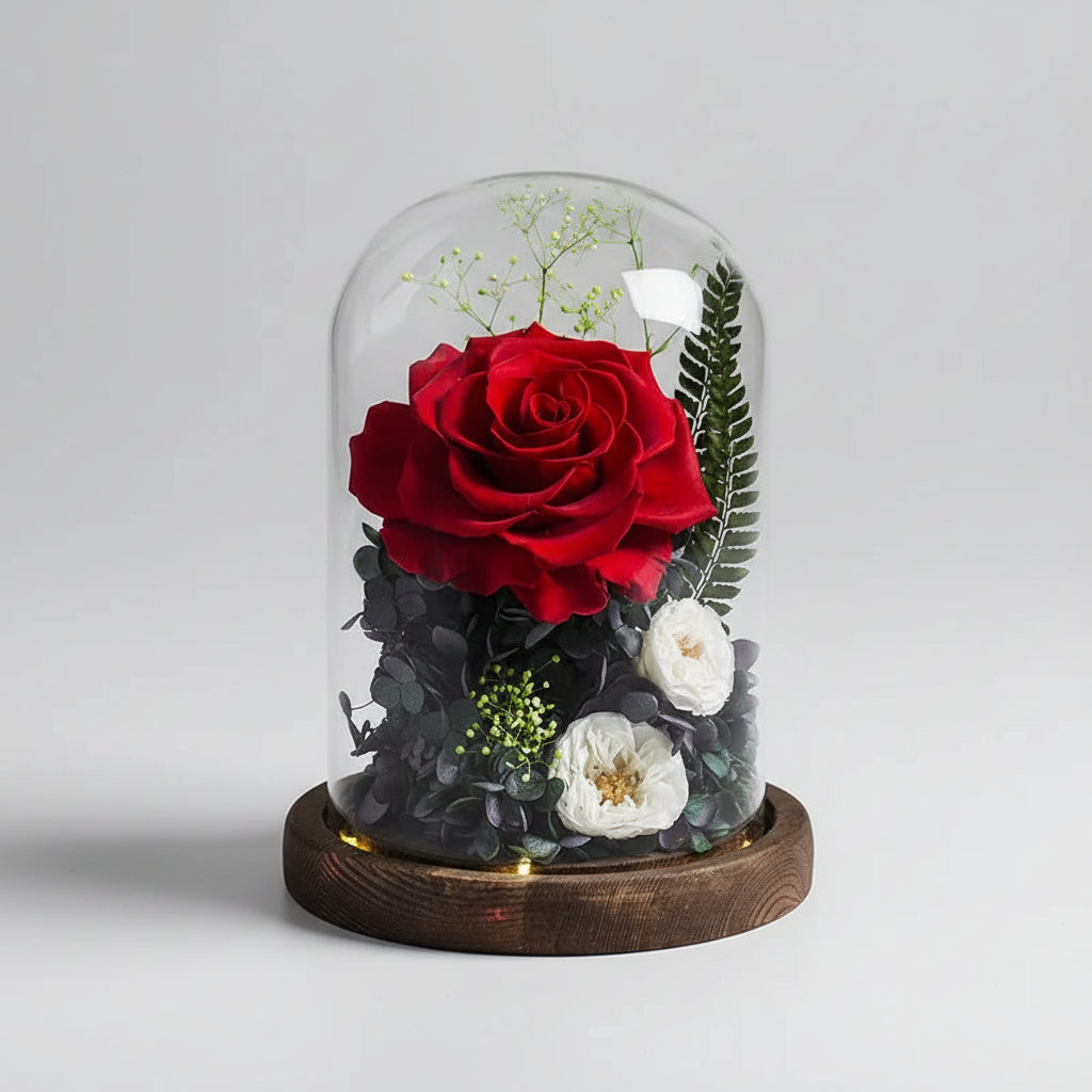 Rose éternelle Gargantua sous cloche en verre – coloris Rouge | Les Roses De Lola