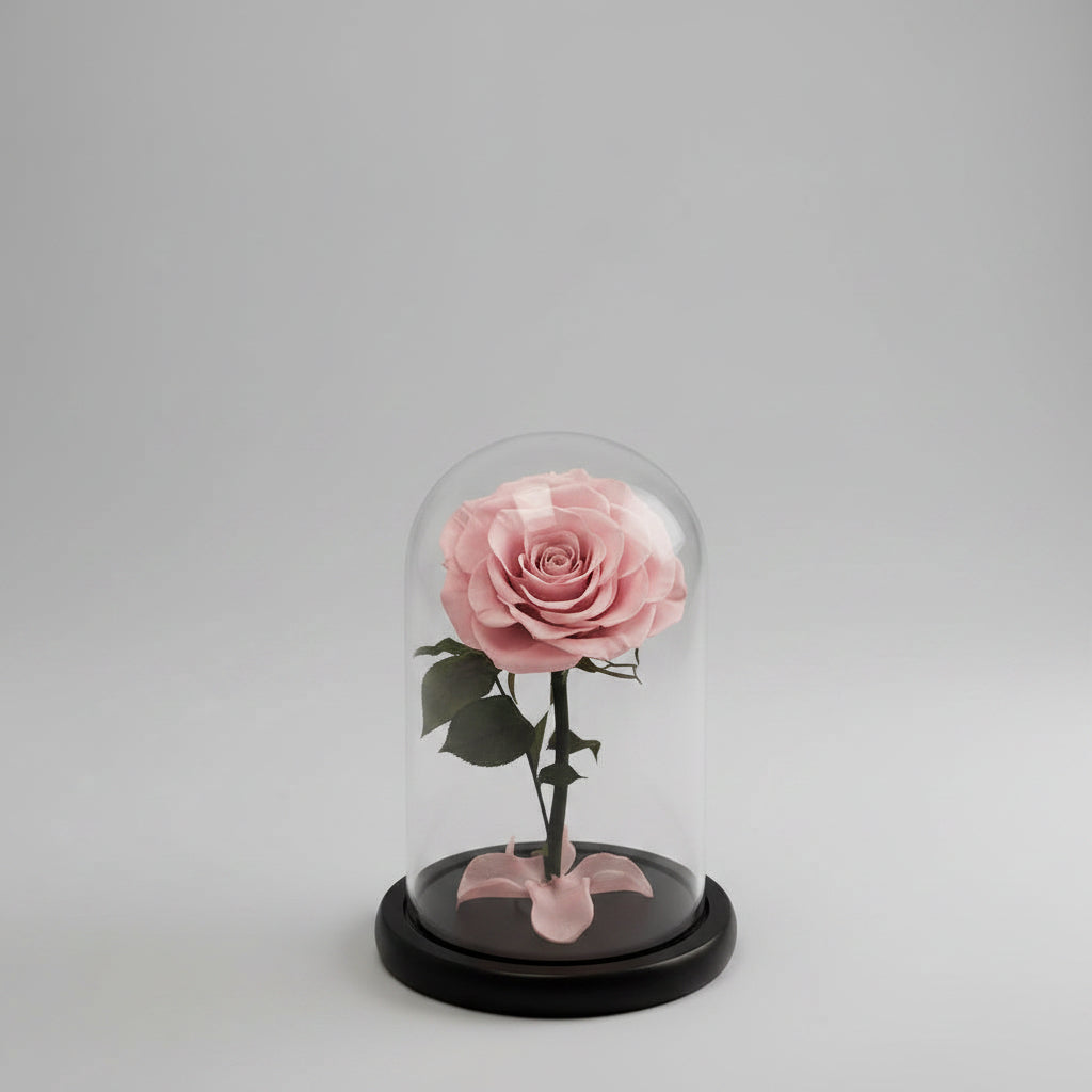 rose éternelle rose clair sous cloche en verre style Le Petit Prince.