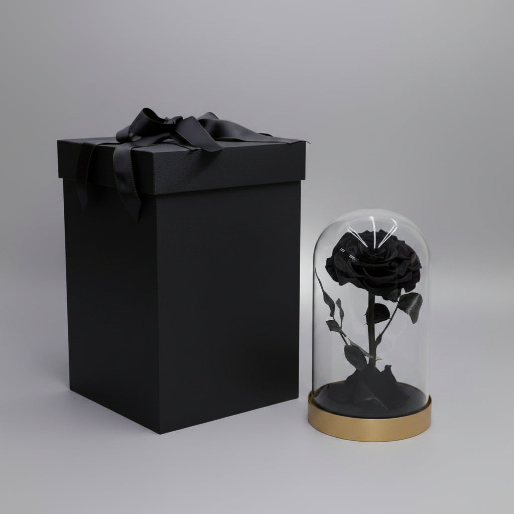 Rose éternelle grand format sous cloche en verre socle métal – coloris Noir | Les Roses De Lola