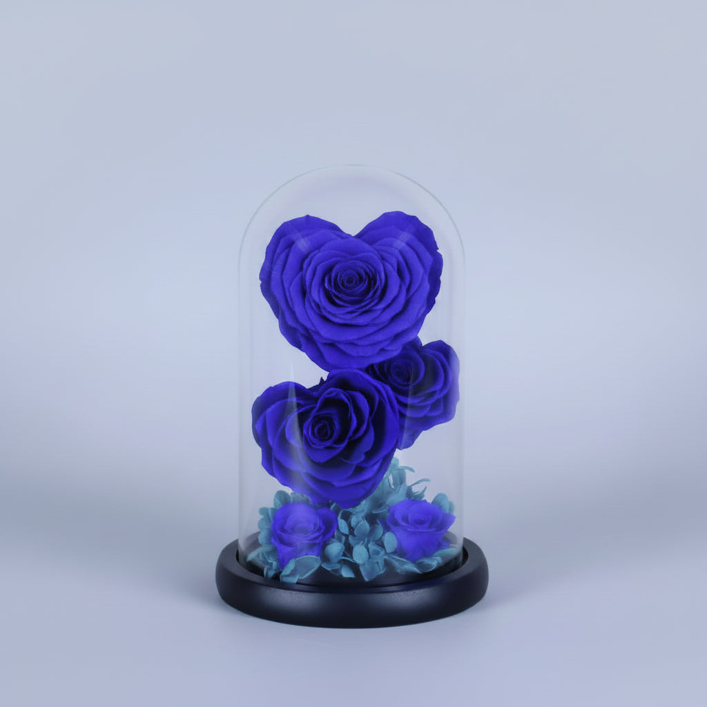  roses éternelles bleues sur tige sous dôme en verre avec hortensias – Les Roses De Lolac