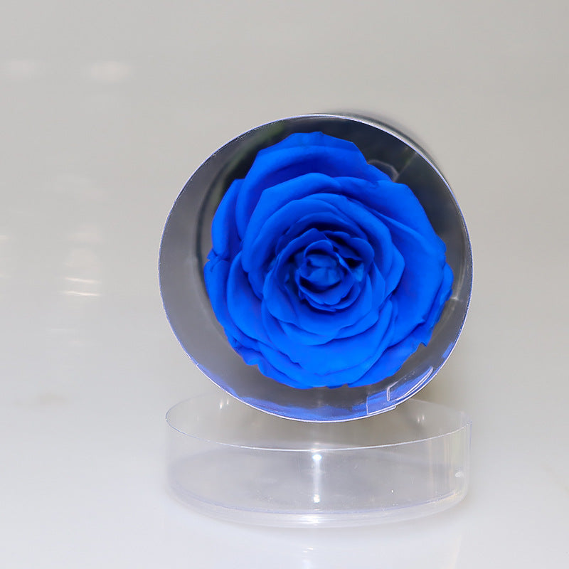 Rose éternelle dans cylindre décoratif – coloris Bleu | Les Roses De Lola- tête