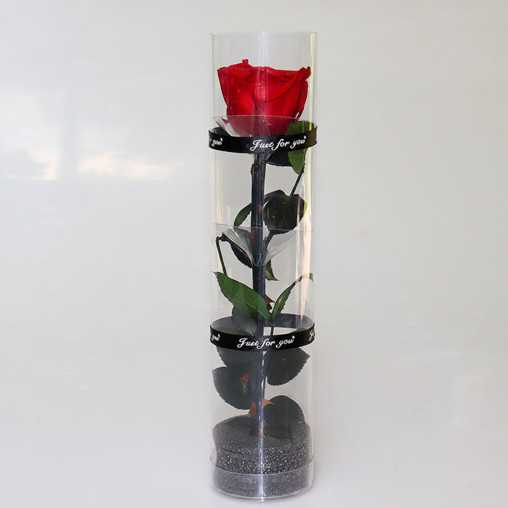 Rose éternelle dans cylindre décoratif – coloris Rouge | Les Roses De Lola