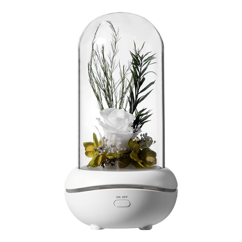 Lampe fleur éternelle humidificateur d'ambiance – coloris Blanc | Les Roses De Lola