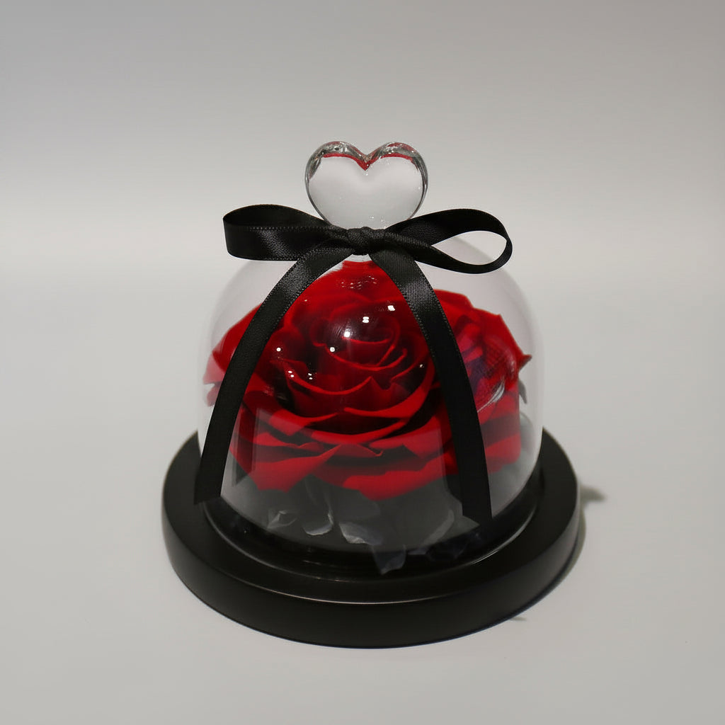 Rose éternelle sous cloche en verre – La Solitaire | Les Roses De Lola