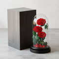 3 roses éternelles sous cloche en verre cadeau prestige – vue principale | Les Roses De Lola