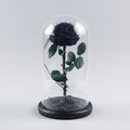 Dôme en verre prestige avec rose préservée – détail pétales