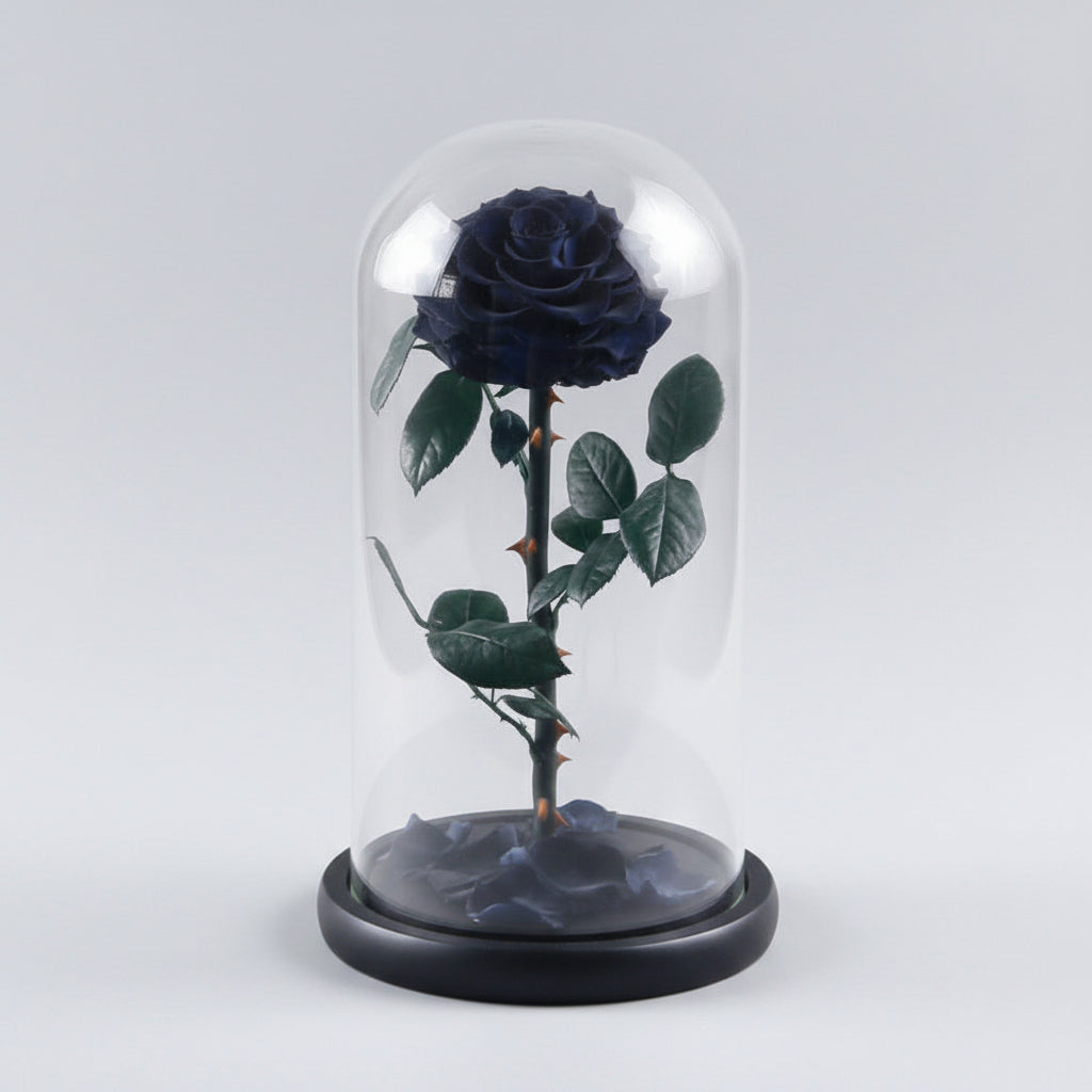 Dôme en verre prestige avec rose préservée – détail pétales