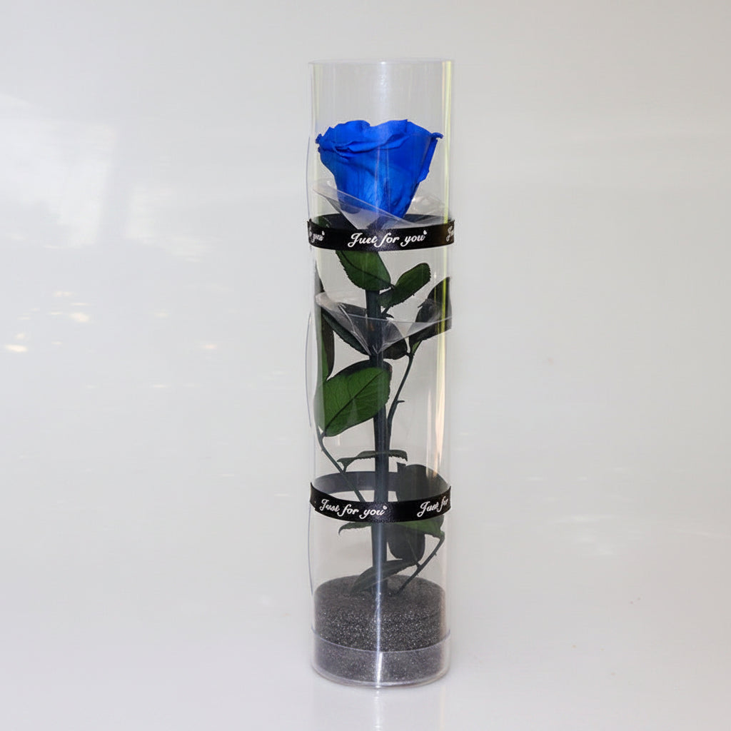Rose éternelle dans cylindre décoratif – coloris Bleu | Les Roses De Lola