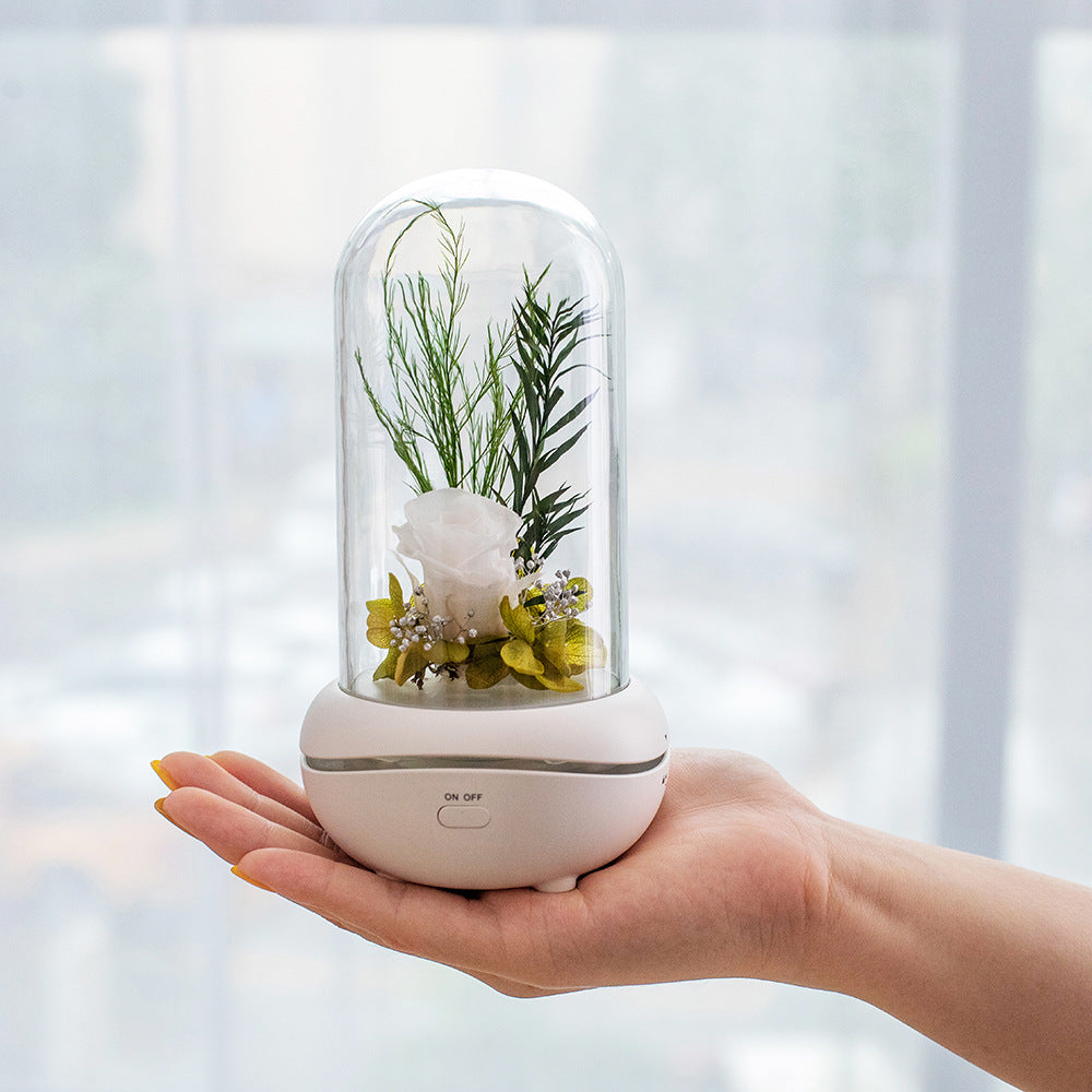 	Lampe fleur éternelle humidificateur d'ambiance – coloris Blanc | Les Roses De Lola-Présentation