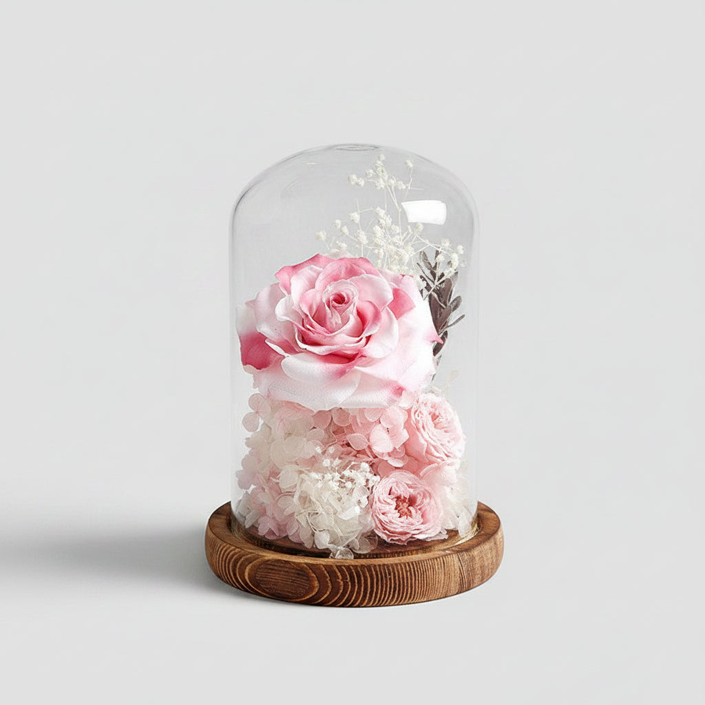 Rose éternelle Gargantua sous cloche en verre – coloris Rose Clair et blanc | Les Roses De Lola