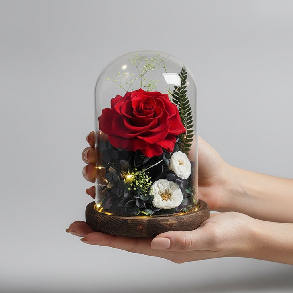 Rose éternelle Gargantua sous cloche en verre – coloris Rouge | Les Roses De Lola-présentation réel