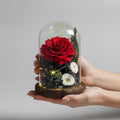 Rose éternelle Gargantua sous cloche en verre – coloris Rouge | Les Roses De Lola-présentation réel