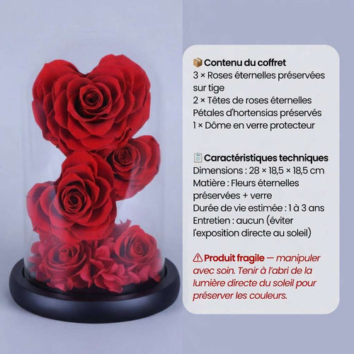 3 Roses Éternelles sur Tige sous Dôme et Pétales Hortensias – Les Roses De Lola
