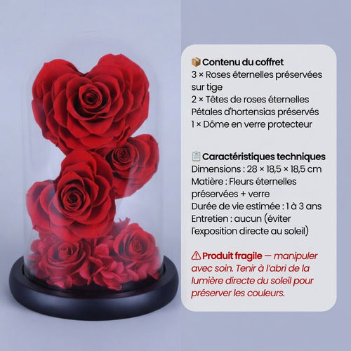 3 Roses Éternelles sur Tige sous Dôme et Pétales Hortensias – Les Roses De Lola