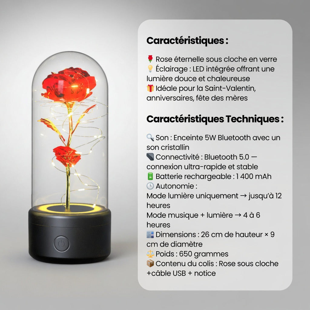 Rose Éternelle Lumineuse 2-en-1 – Lampe LED & Enceinte Bluetooth sous Cloche en Verre