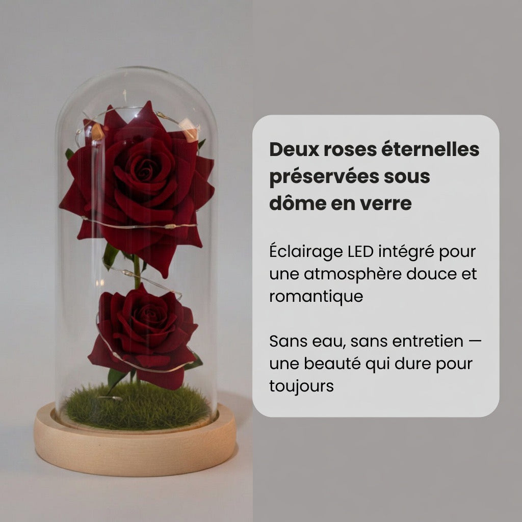 Rose Éternelle Lumineuse sous Dôme – LED & Romantique