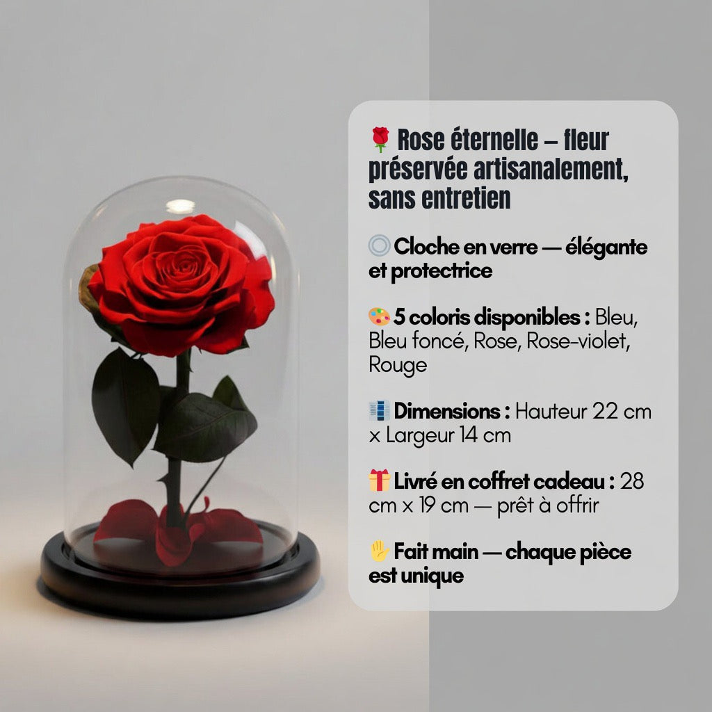Rose Éternelle sous Cloche en Verre – Le Petit Prince