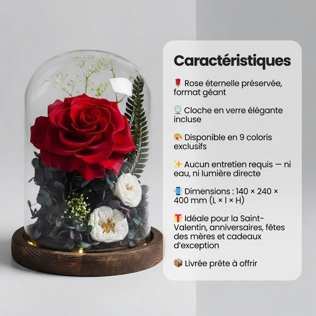 Rose éternelle Gargantua sous cloche en verre – coloris Rouge | Les Roses De Lola-Caractéristiques
