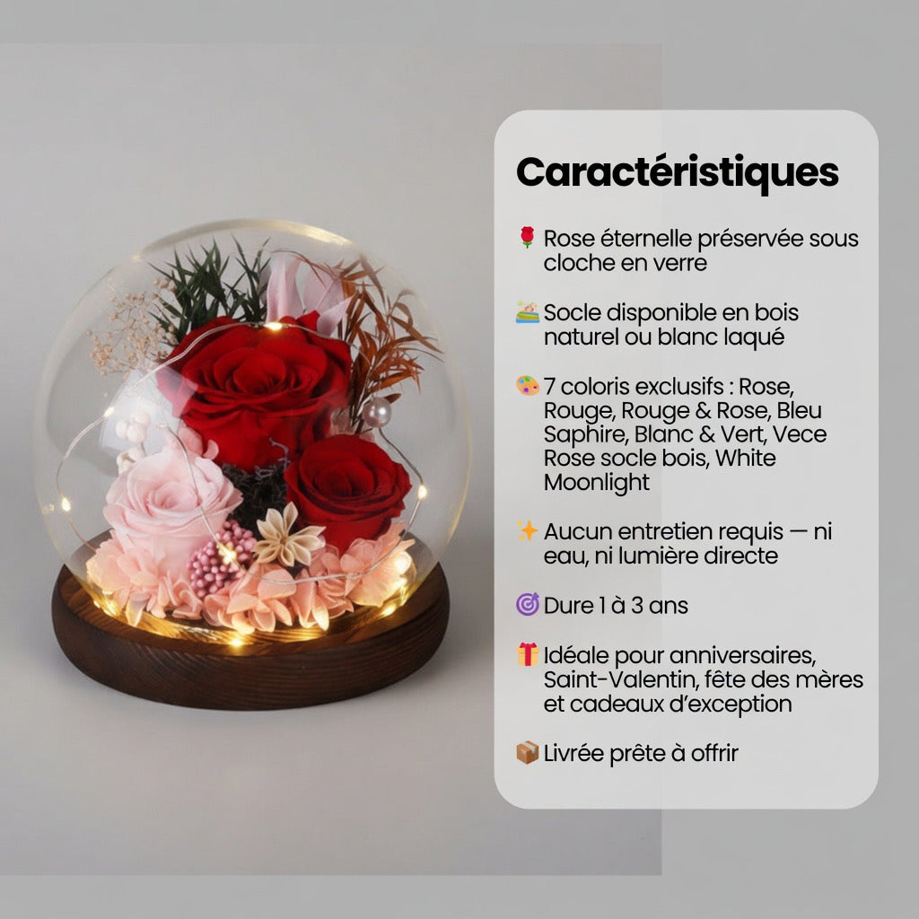 Rose Éternelle sous Cloche en Verre avec Socle