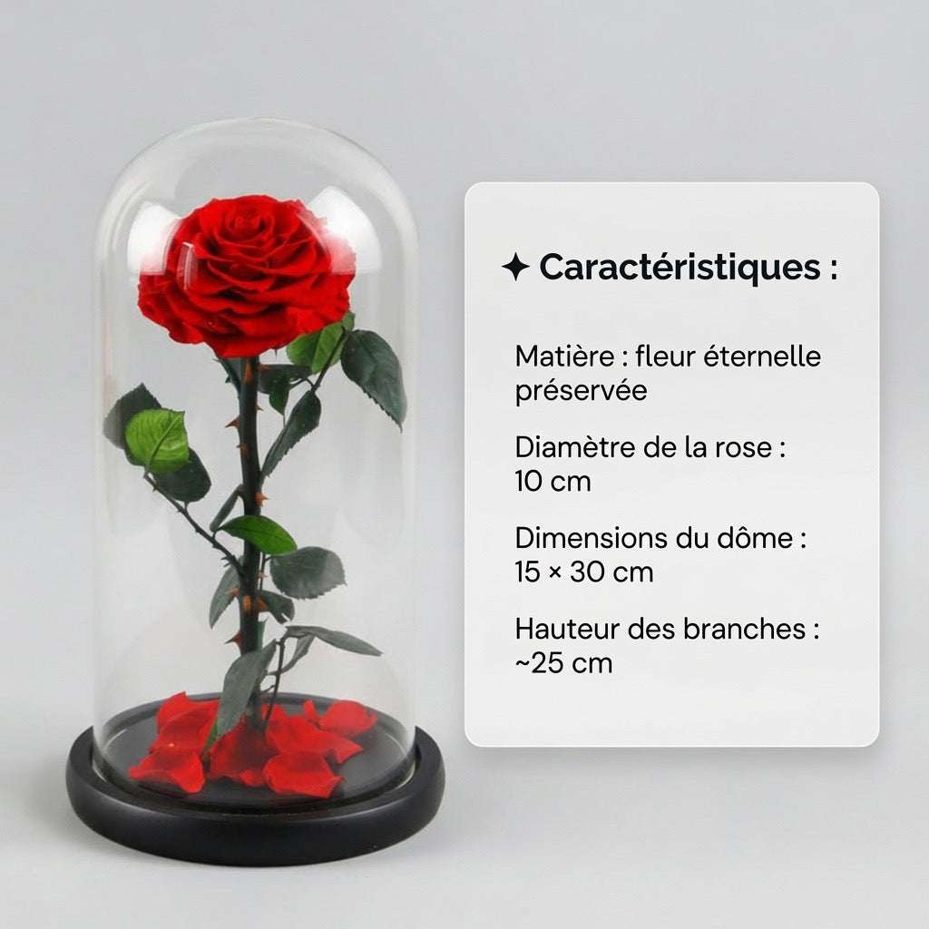 Le Grand Dôme Impérial – Rose Éternelle XL sous Dôme de Verre