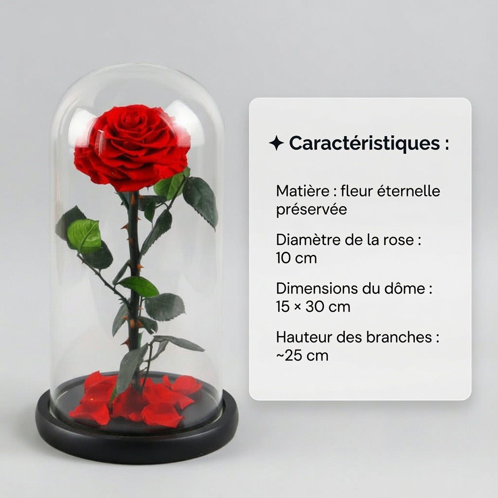 Le Grand Dôme Impérial – Rose Éternelle XL sous Dôme de Verre