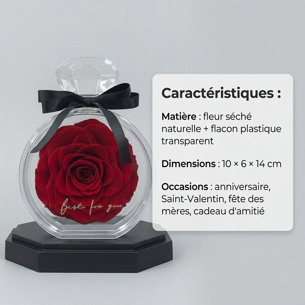 Rose naturelle préservée dans flacon transparent – vue de face