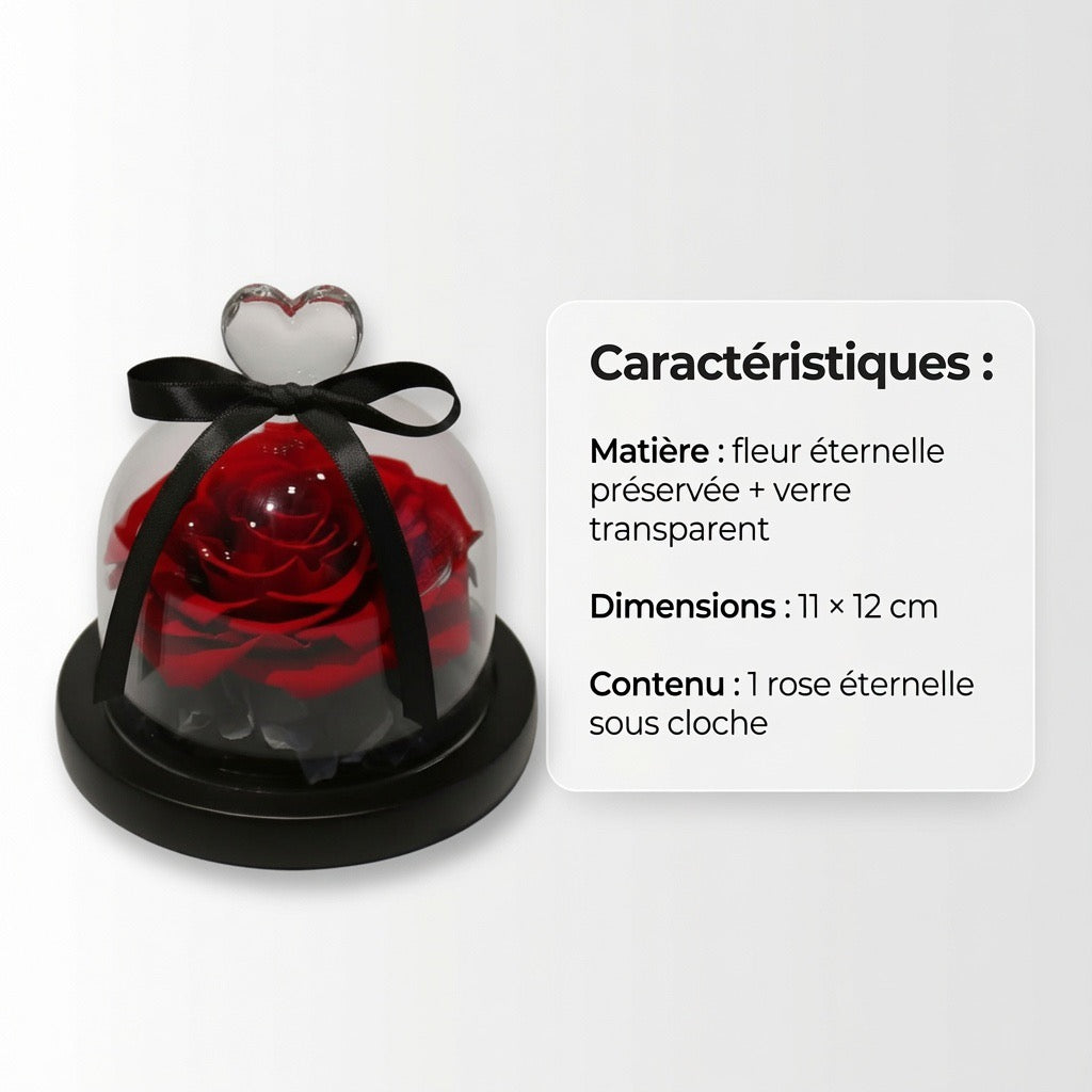 Cloche verre rose éternelle – 5 coloris disponibles cadeau anniversaire Noël caractéristiques