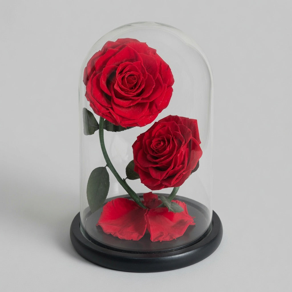 Le Dôme des Âmes Sœurs – double rose éternelle préservée sur podium