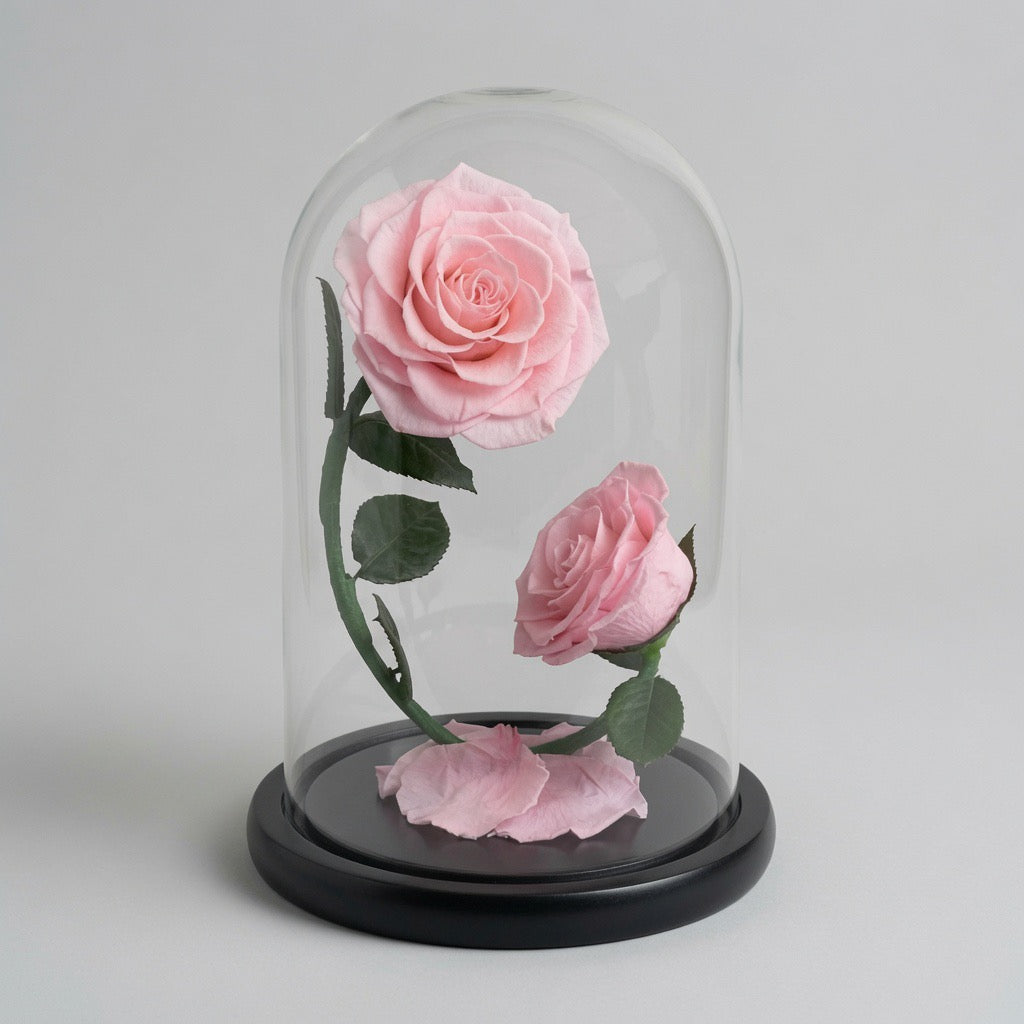 Double rose éternelle podium – coloris rose romantique