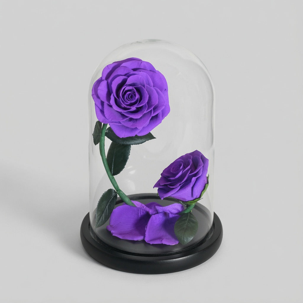 Double rose préservée – coloris rouge Saint-Valentin