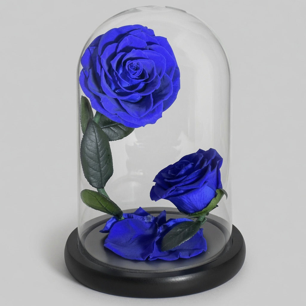 Roses éternelles podium – coloris bleu violet disponibles