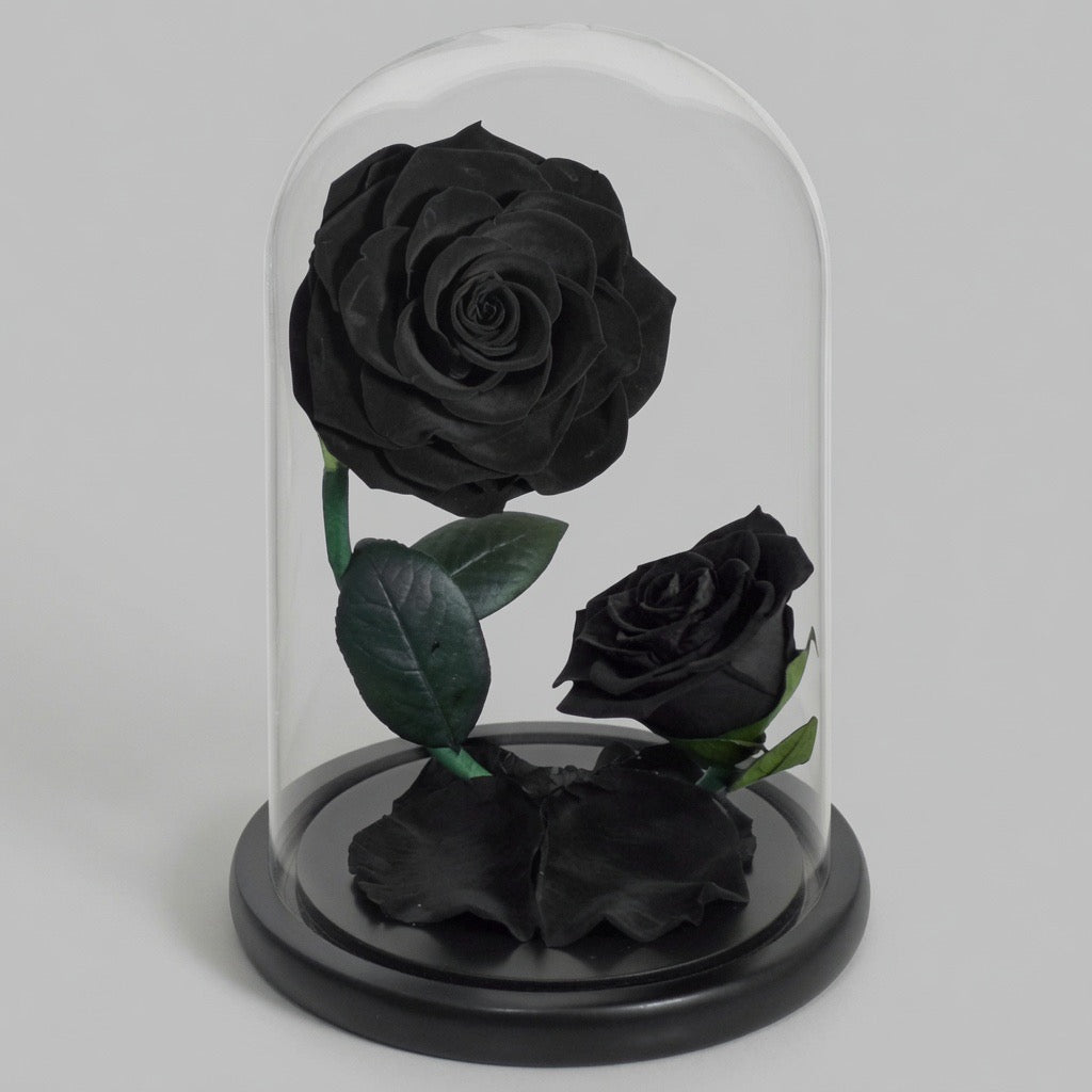 Le Dôme des Âmes Sœurs – ambiance cadeau luxe anniversaire