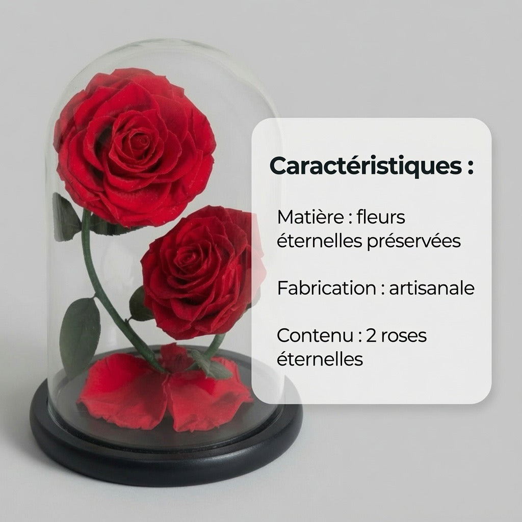 Le Dôme des Âmes Sœurs – double rose éternelle préservée sur podium-caratéristiques