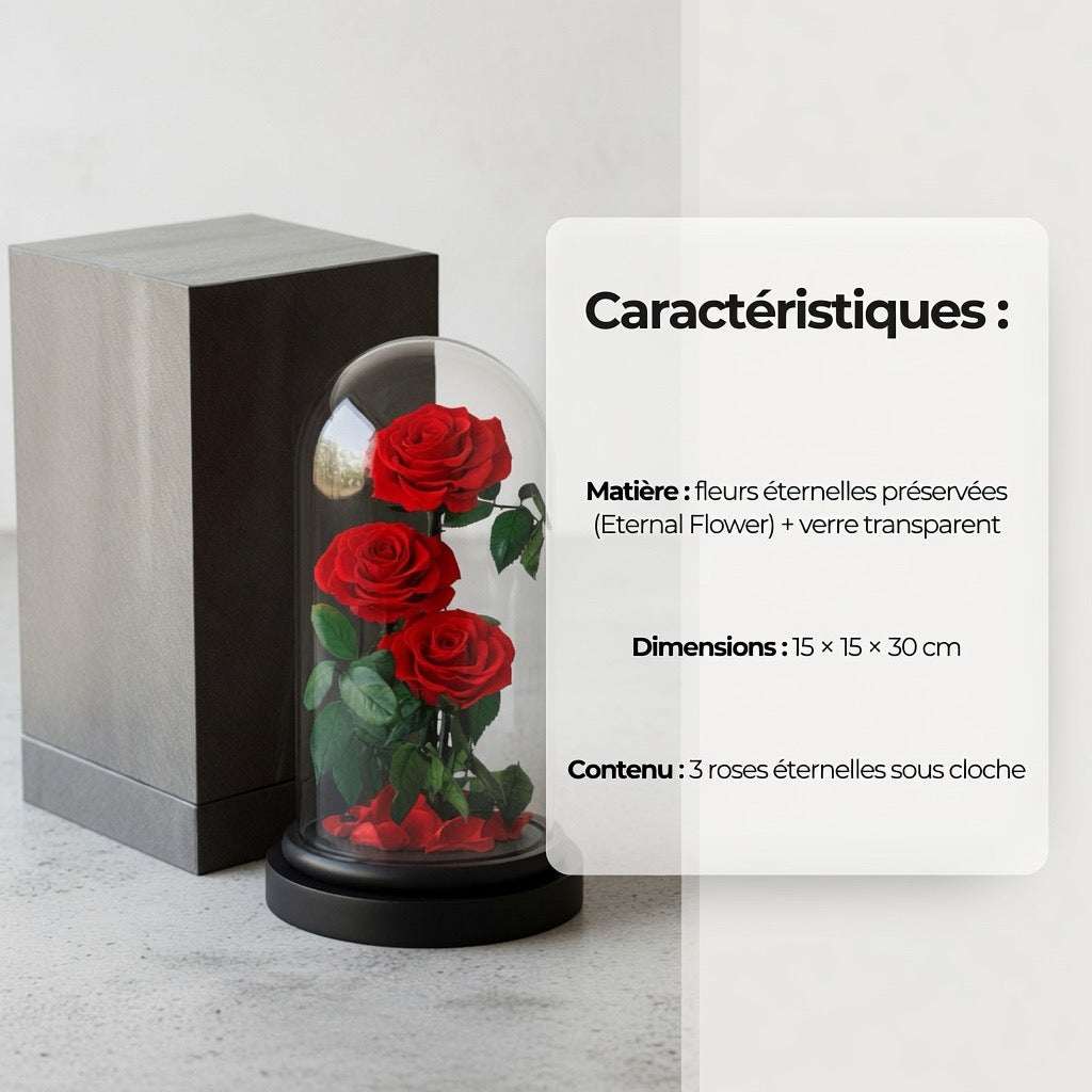 3 roses éternelles sous cloche en verre cadeau prestige – vue principale | Les Roses De Lola-caractéristiques