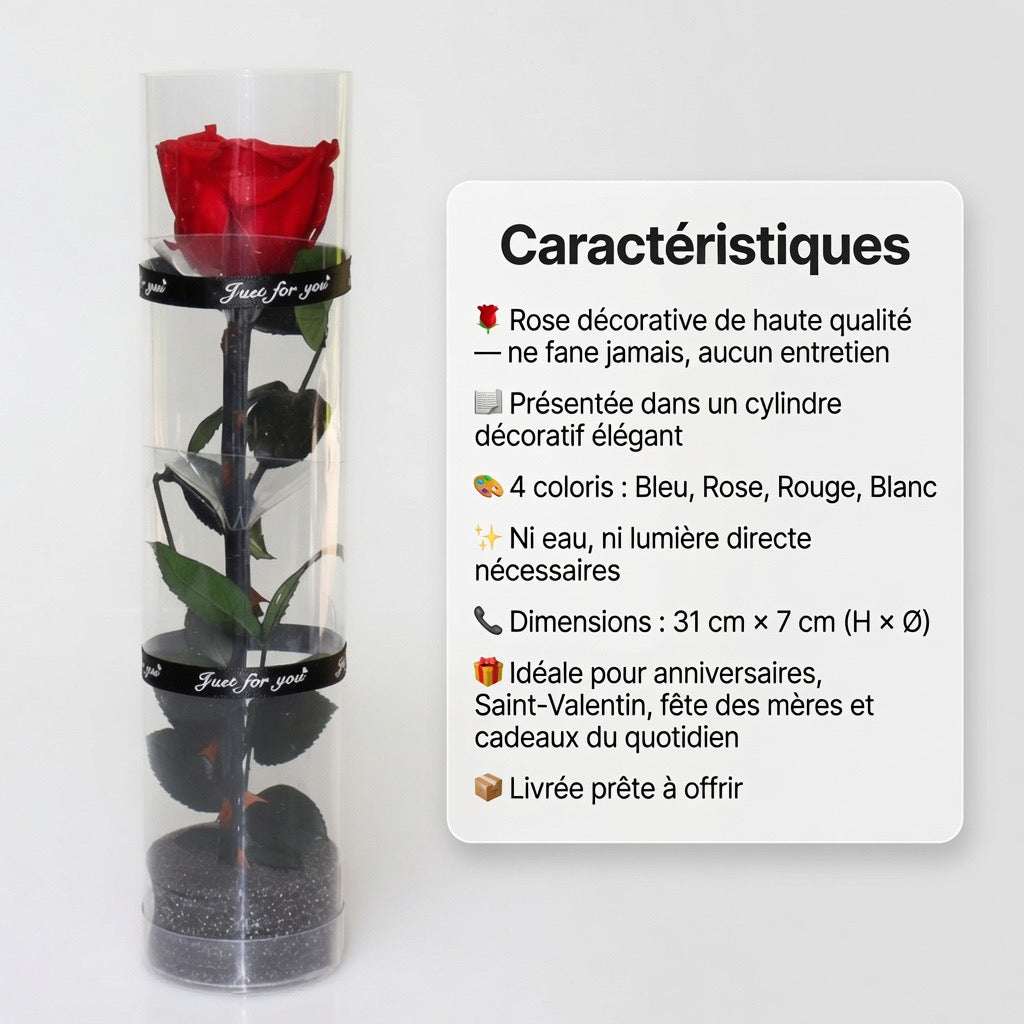 Rose éternelle dans cylindre décoratif – coloris Rouge | Les Roses De Lola- caractéristiques