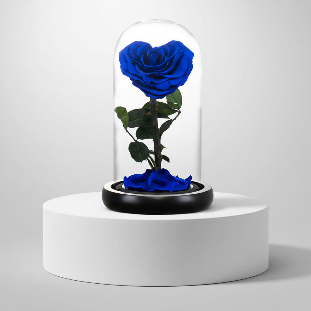Rose éternelle bleu préservée sous dôme en verre – Les Roses De Lola