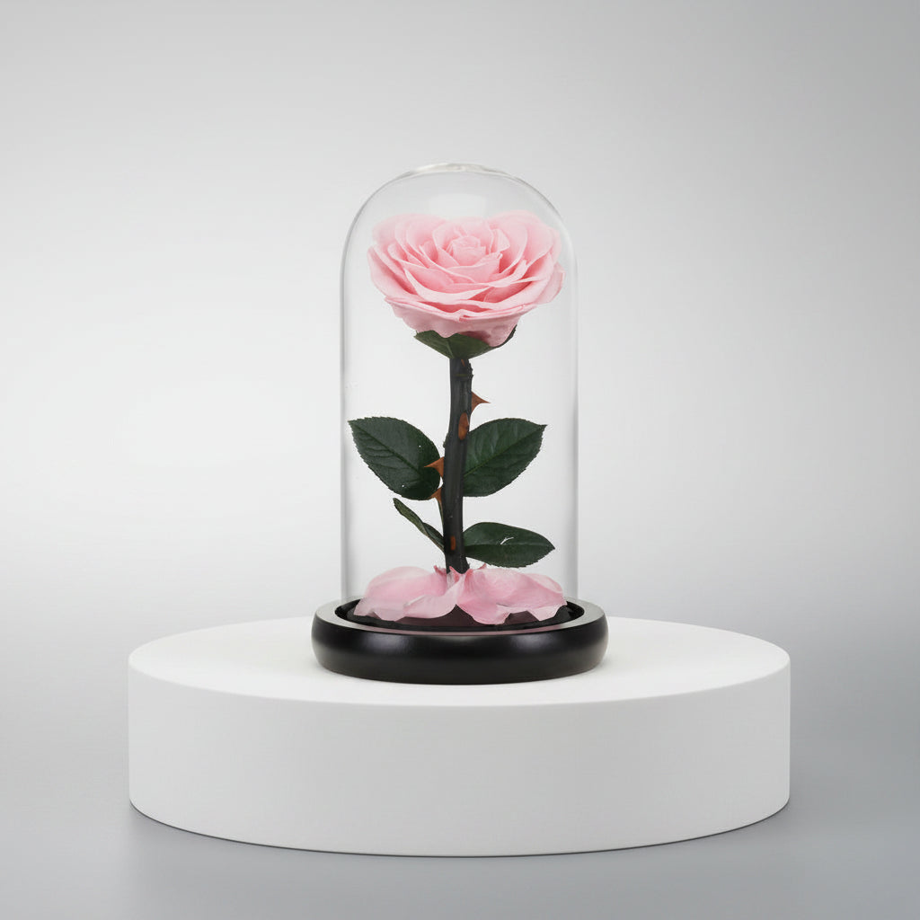 Rose éternelle rose préservée sous dôme en verre – Les Roses De Lola