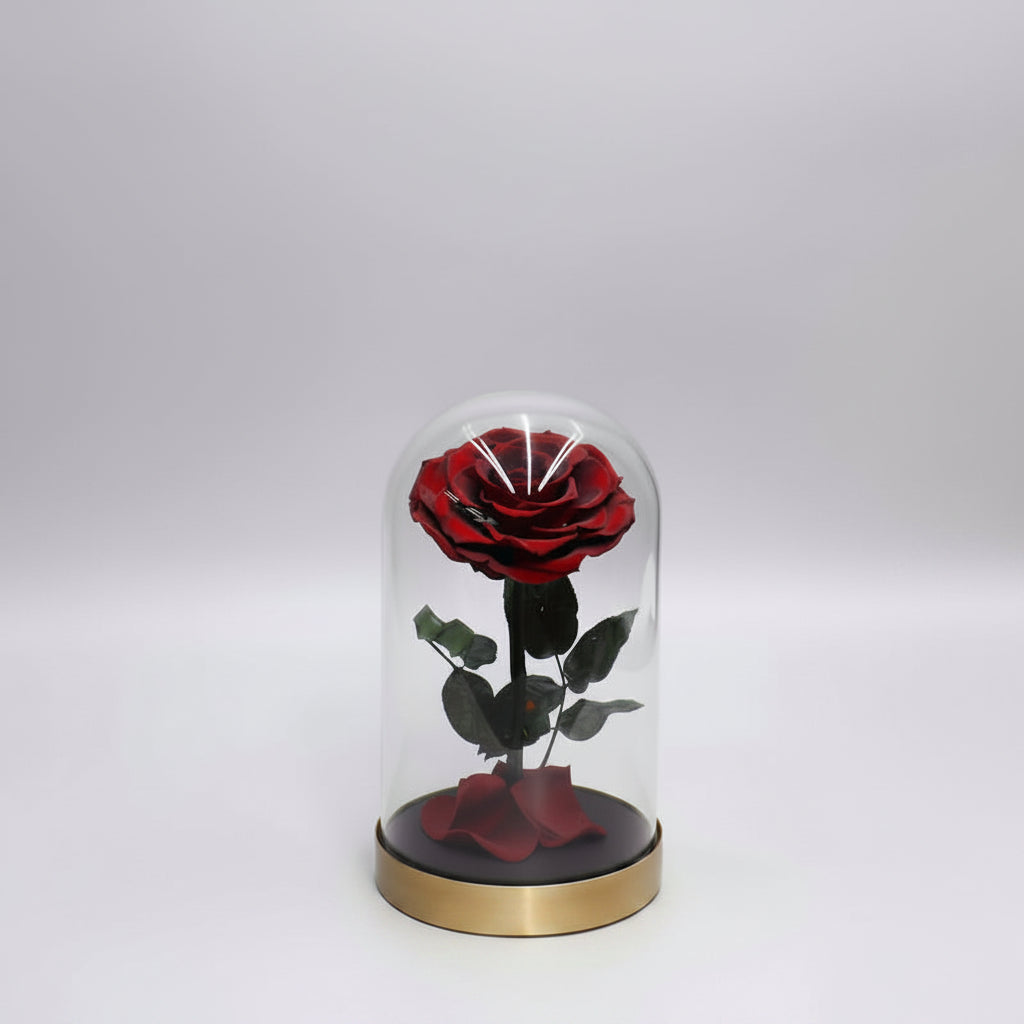 Rose éternelle grand format sous cloche en verre socle métal – coloris Rouge Velours | Les Roses De Lola
