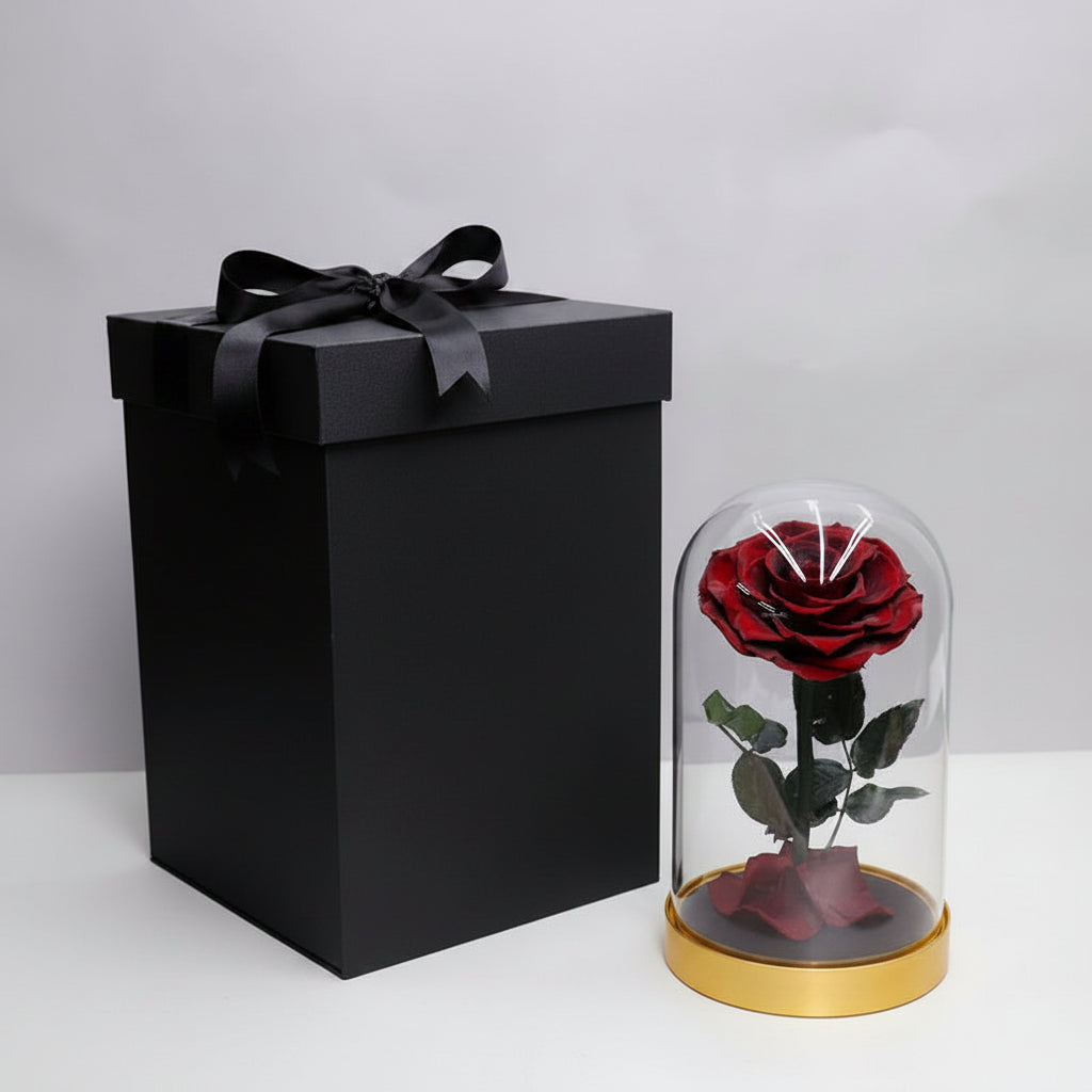 Rose éternelle grand format sous cloche en verre socle métal – coloris Rouge Velours | Les Roses De Lola
