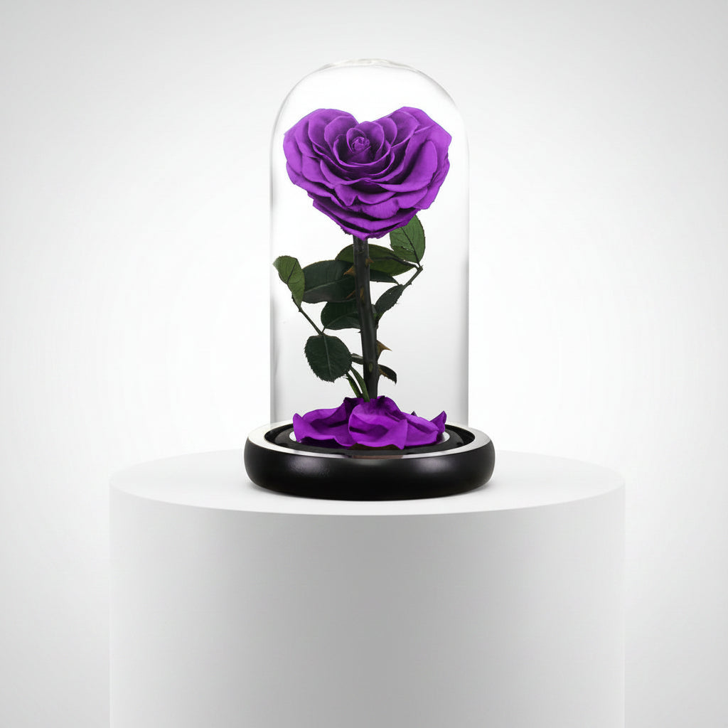 Rose éternelle violette préservée sous dôme en verre – Les Roses De Lola