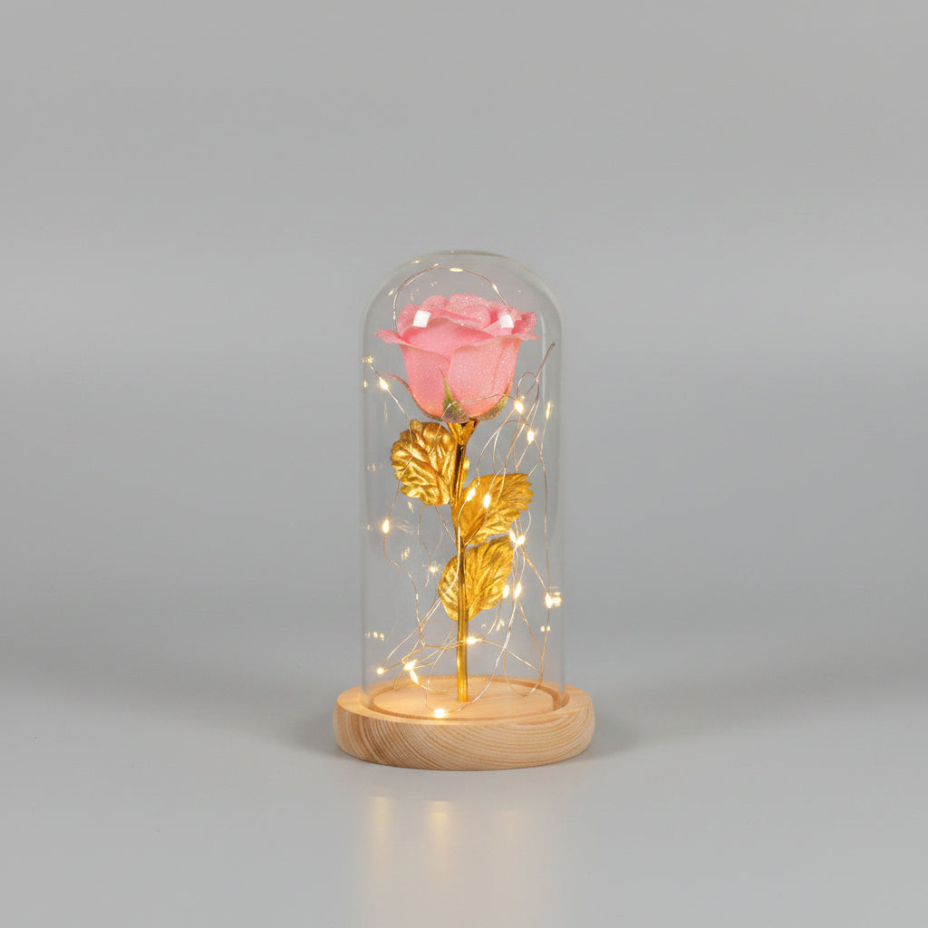 Rose préservée cloche verre LED – cadeau luxe | Les Roses De Lola